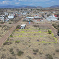 LOTES RESIDENCIALES, TLACOLULA OAXACA.