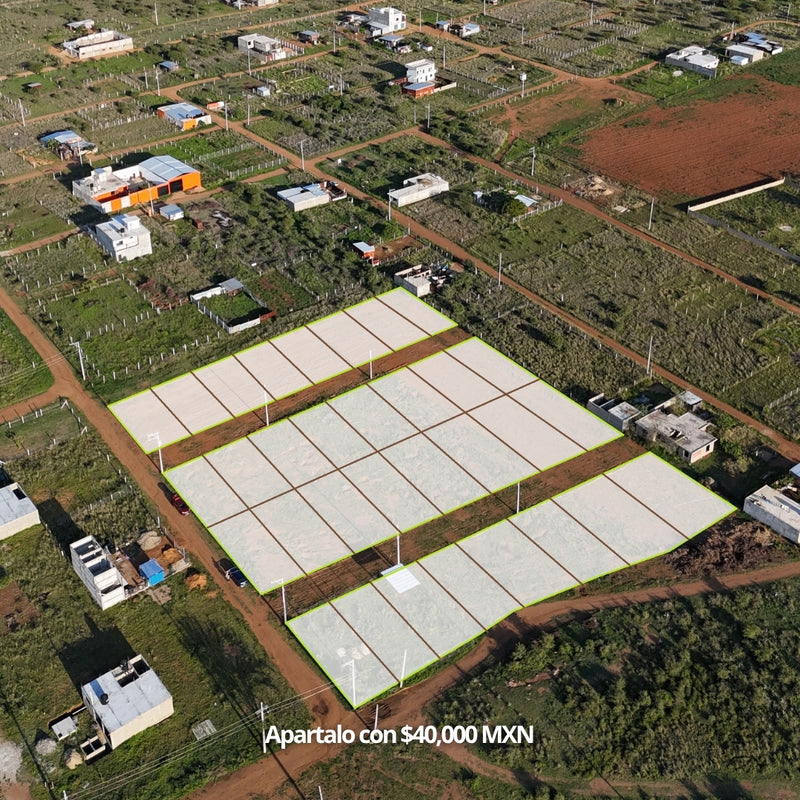 32 Lotes en Zaachila