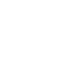 Todos los servicios: Luz, agua y drenaje