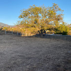TERRENO RESIDENCIAL, SAN AGUSTIN YATARENI, OAXACA.