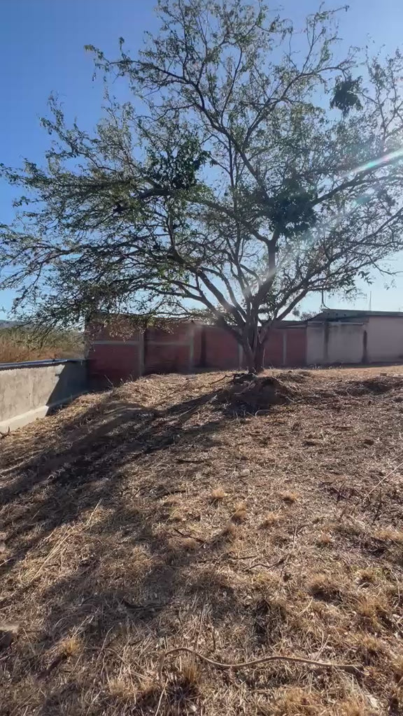 TERRENO RESIDENCIAL, SAN AGUSTIN YATARENI, OAXACA.