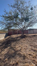 TERRENO RESIDENCIAL, SAN AGUSTIN YATARENI, OAXACA.